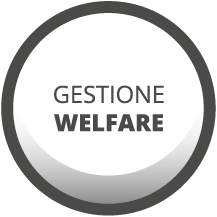 it/gestione-welfare.3sp
